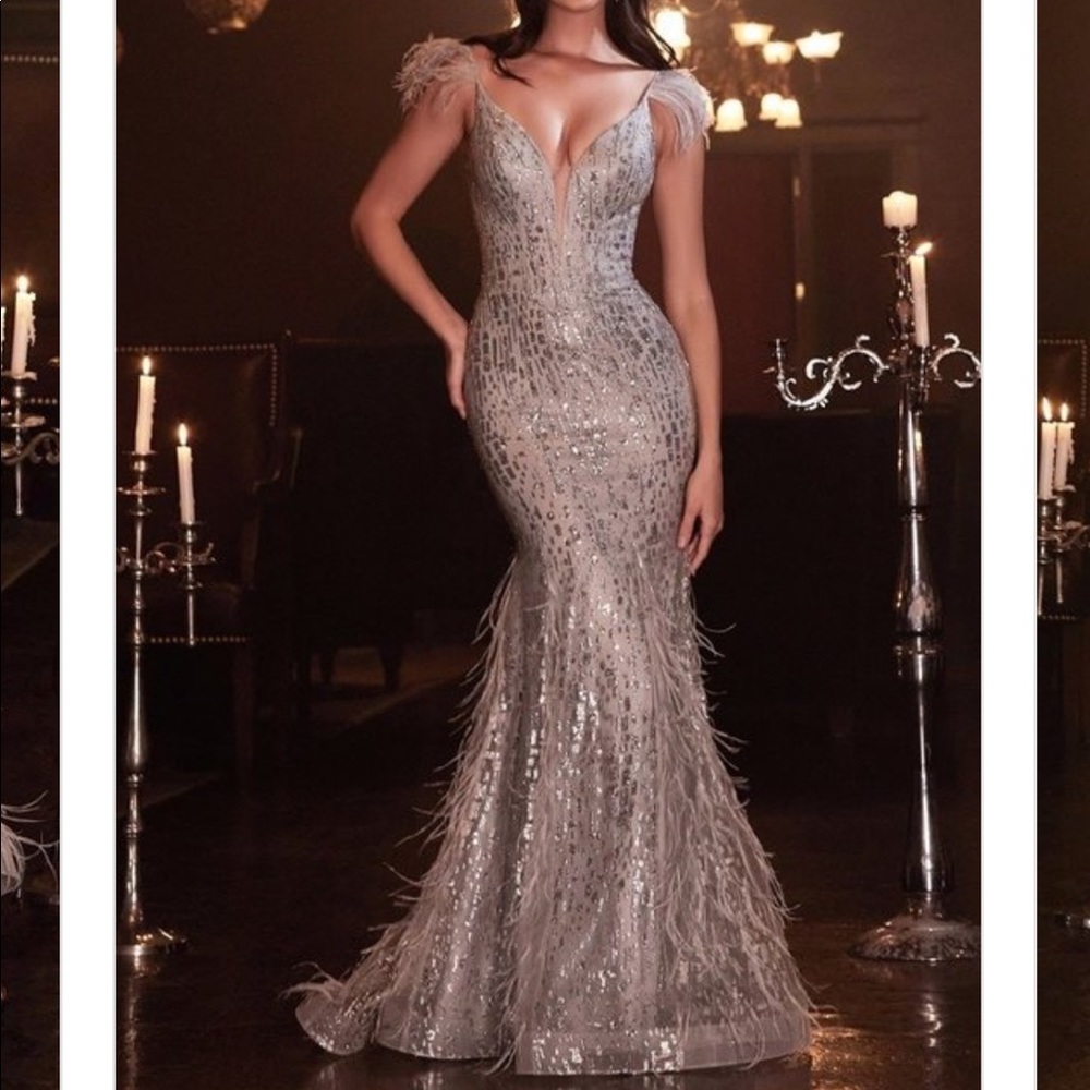 Cinderella Divine Silver feather Gown NWT